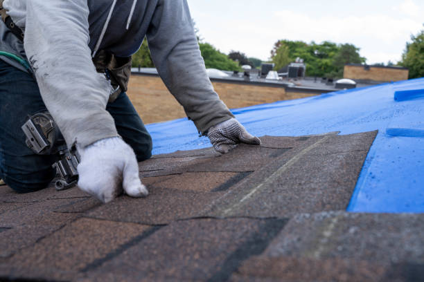 Best Roof Waterproofing Services  in Scenic, AZ